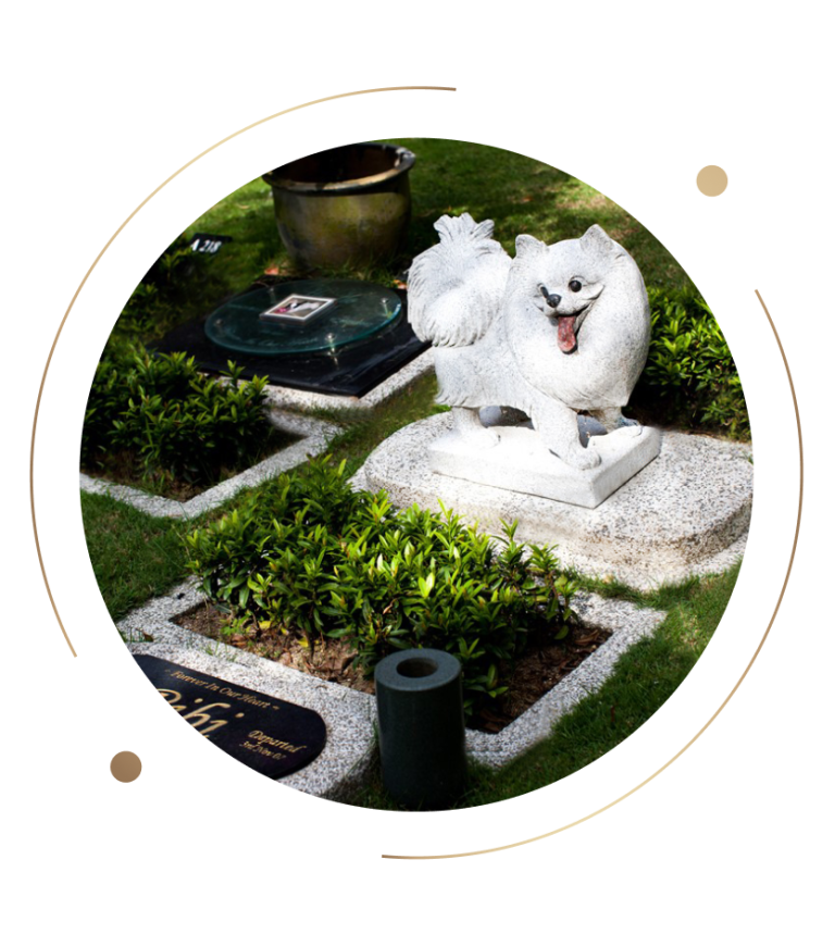 Update_Home_02_service_pet